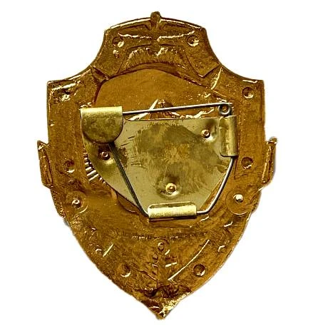 Нагрудный знак жетон Дневальный фото