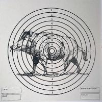 Мишень для пневматики 14 х 14 см.